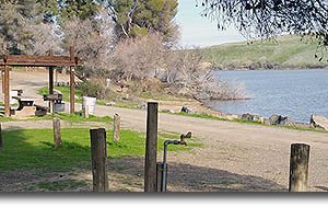 Los Banos Creek Reservoir Fishout - 2022