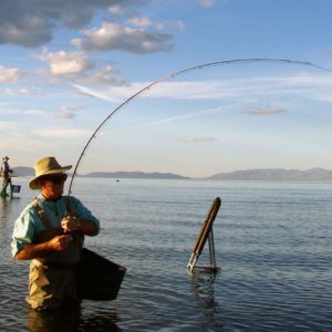 Pyramid Lake Fishout