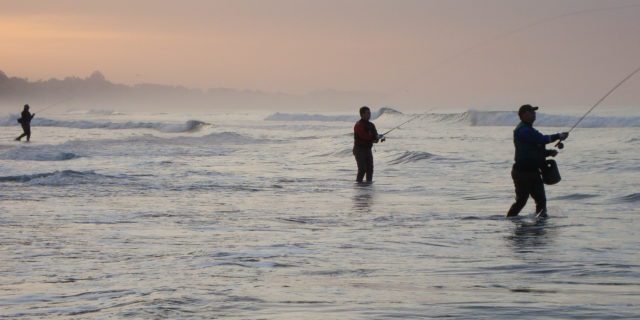 Fly Fishing the Surf – Santa Cruz Fly Fishing Club