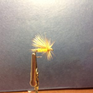 Deschutes Caddis