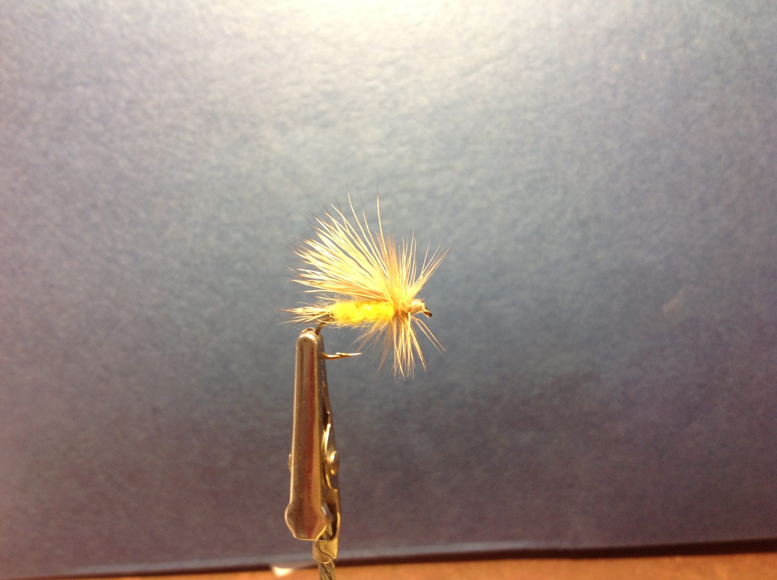 Deschutes Caddis