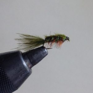 Stillwater Nymph