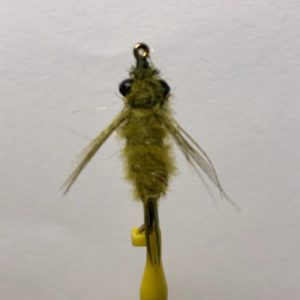 MD Hammer Dragonfly Nymph