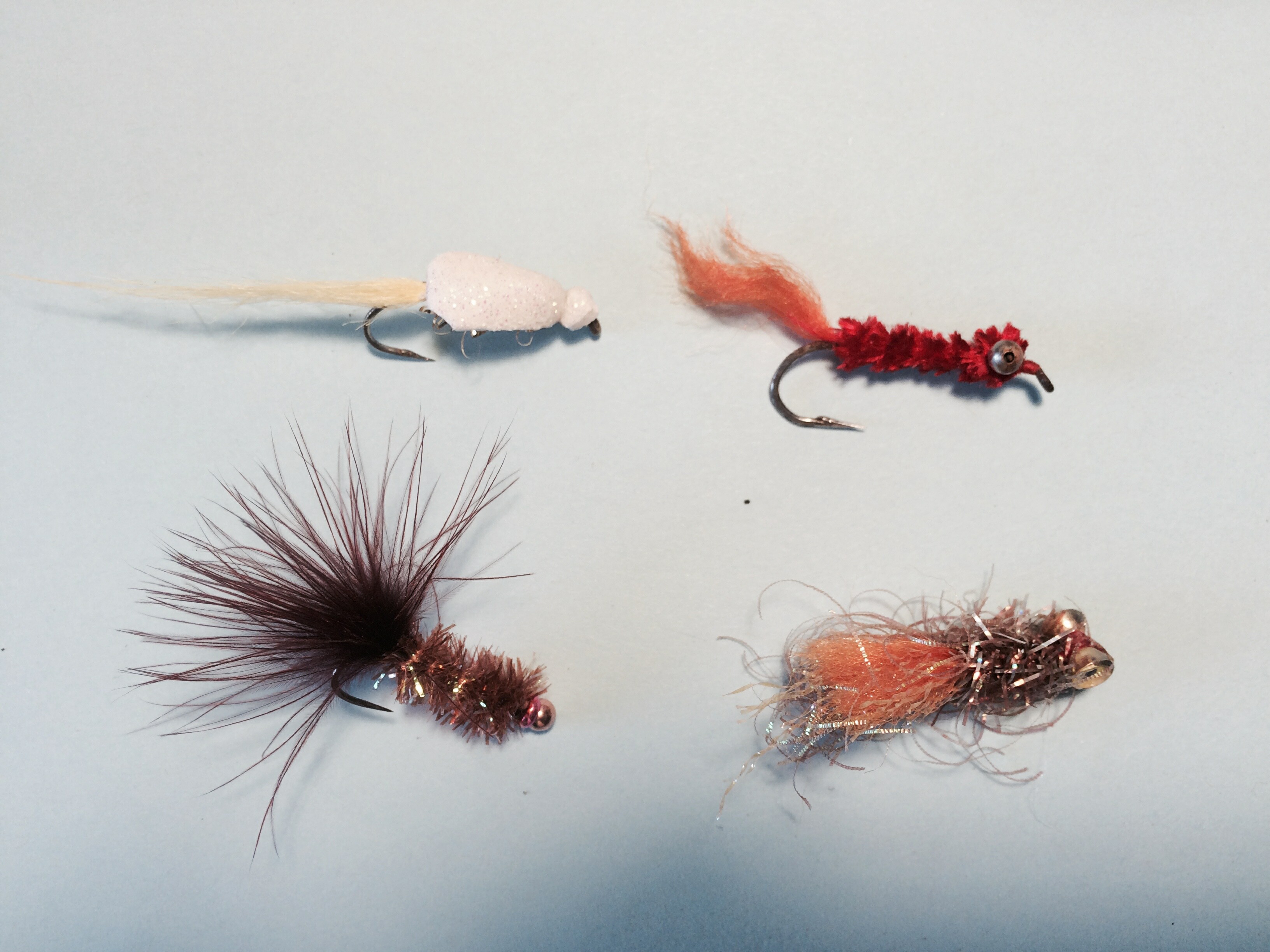 For anglers wanting to get their feet wet with saltwater fly