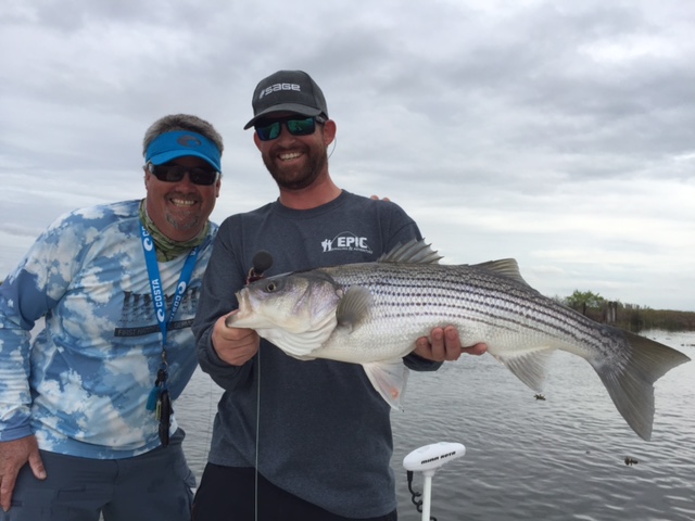 Capt. Maury Hatch ~ Fly Fishing for Striped Bass in Northern