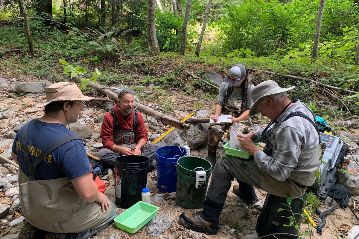 CalTrout Tote Bag - Hat Creek