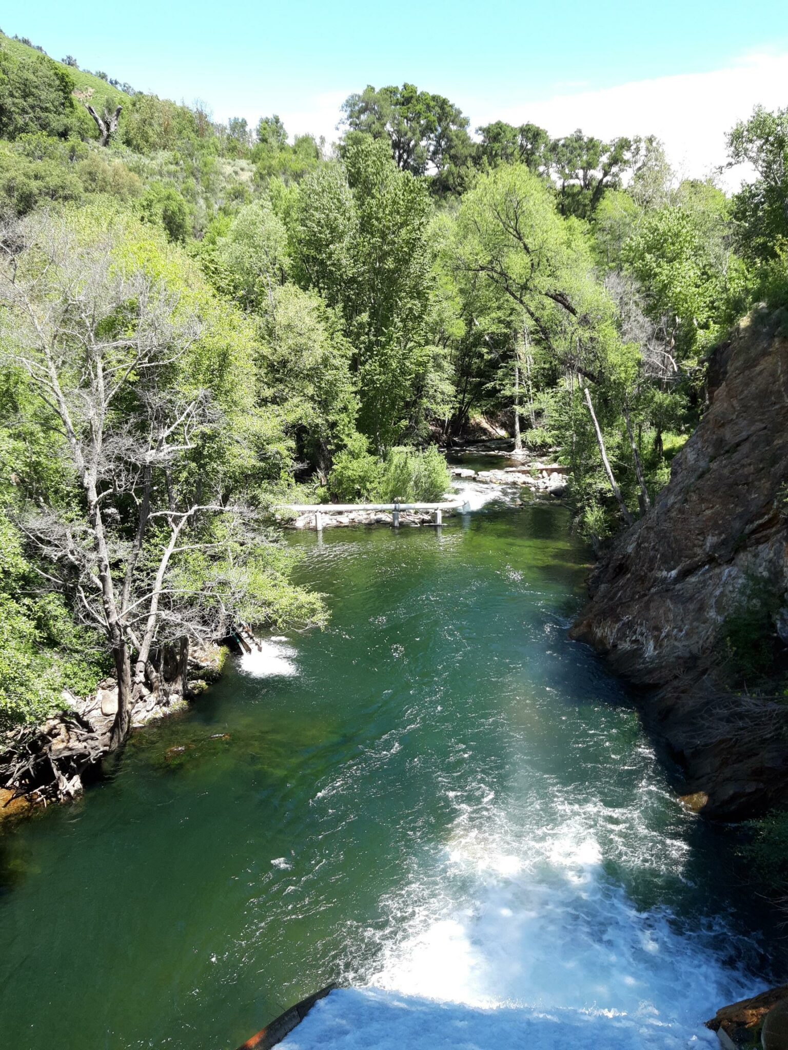 Los Padres Dam / Reservoir Fishout Santa Cruz Fly Fishing Club