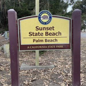 Palm Beach Surf Fishout w/ coffee and snacks afterwards