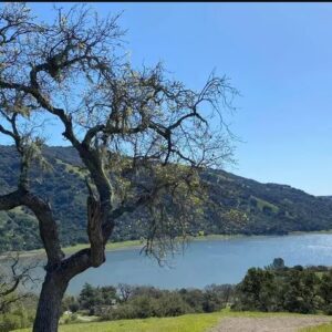 Coyote Lake - Gilroy (bass, bluegill, crappie)