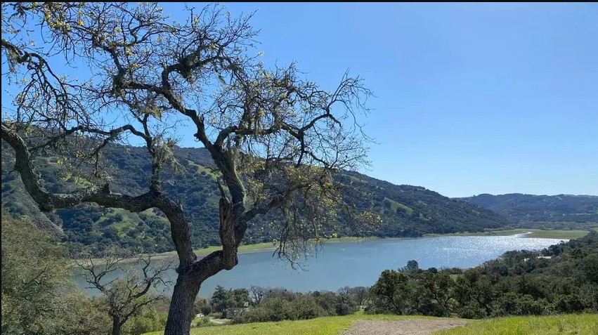 Coyote Lake - Gilroy (bass, bluegill, crappie)