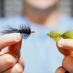 The Extraordinary Woolly Bugger