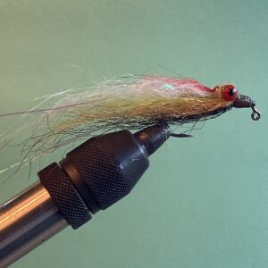 Multicolored Red Eyed Clouser