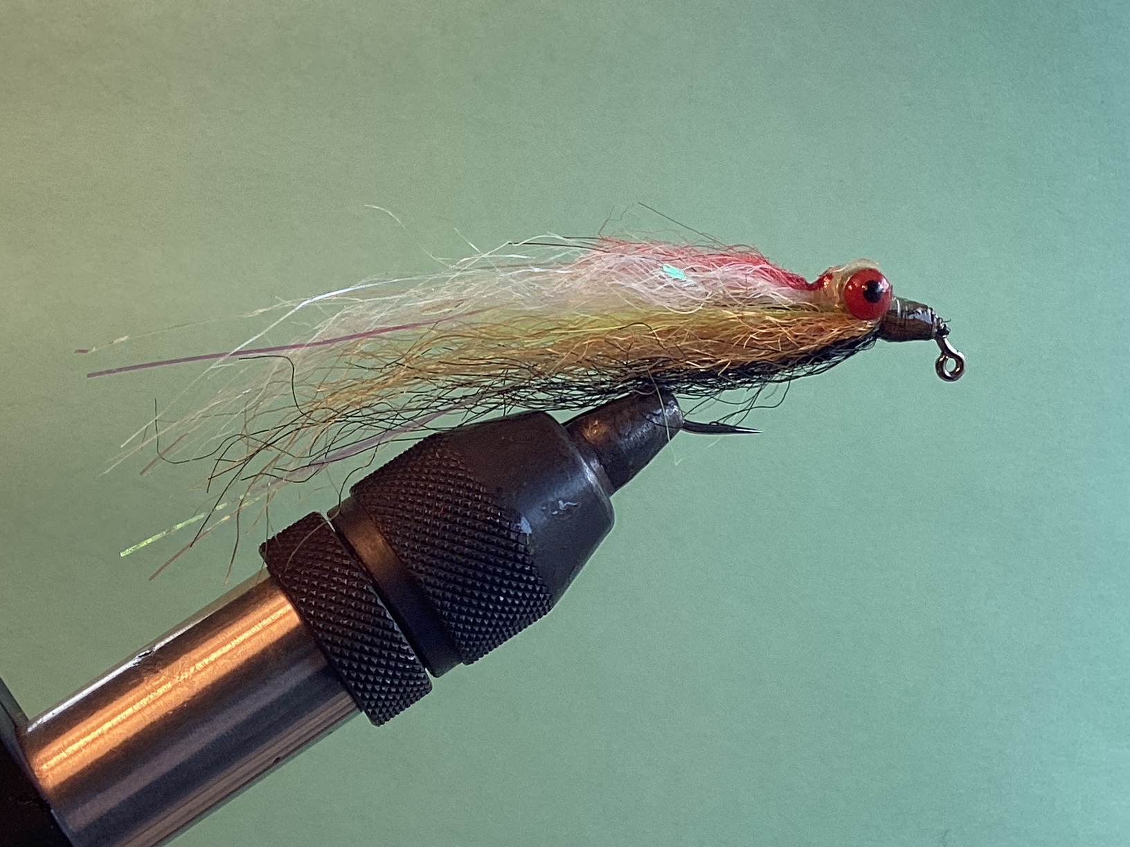 Multicolored Red Eyed Clouser